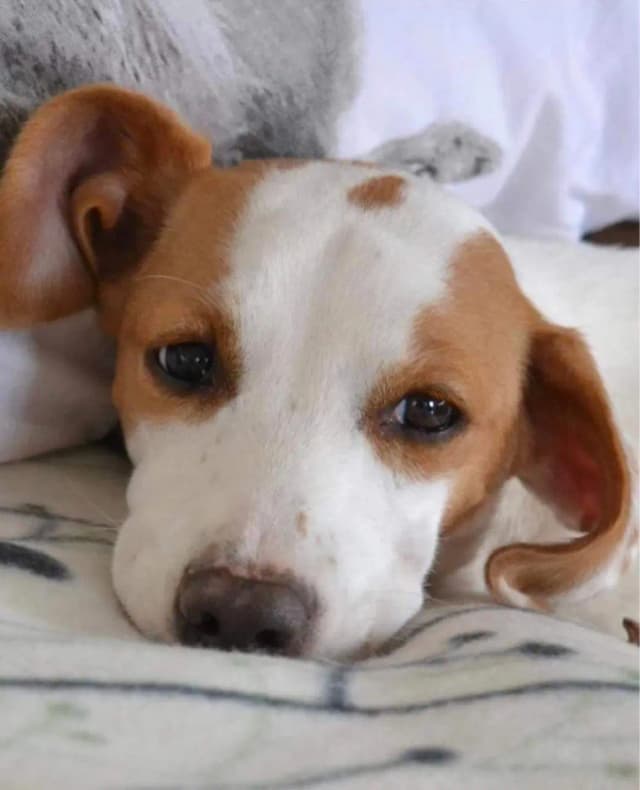 Lana - The inspiration behind Team Lana